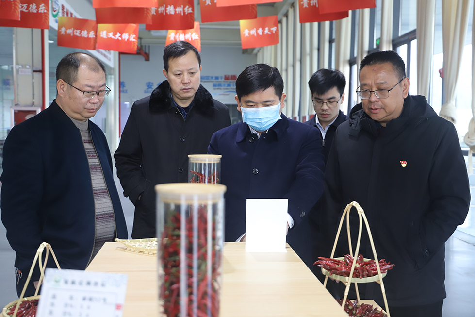 【農投動態(tài)】| 副市長李勰到播州國際辣椒產業(yè)園調研